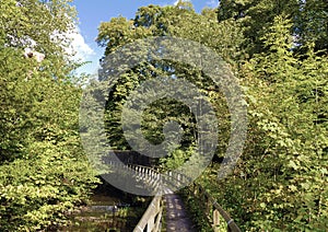 Footbridge crossing water