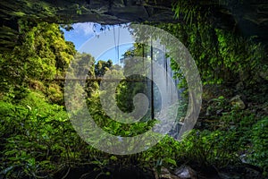 Footbridge and Crystal Falls in the Rainforest of Dorrigo National Park