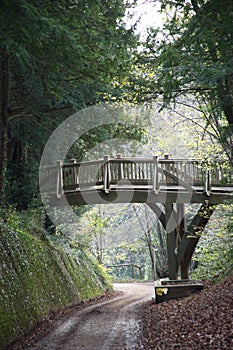 Footbridge in the English countryside