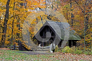 Footbridge in fall foliage