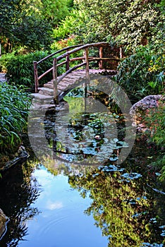 Footbridge in the Garden photo