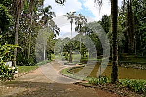 Footbridge beside a lake. Several trees and palm trees, in the background gardens and forest. Sao Paulo Botanical Garden