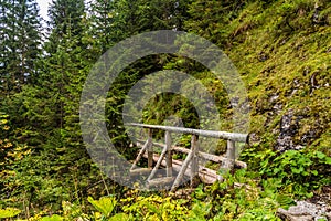 Footbridge in mountain