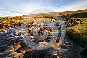 Footbridge over the beck