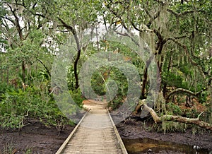 Footbridge over Marsh in Edisto Beach State Park