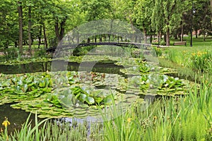 Footbridge over a pond in city park