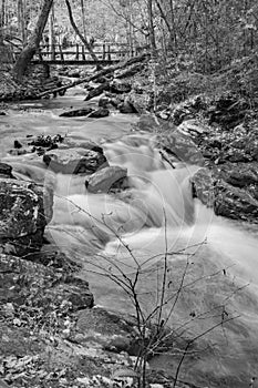 Footbridge Over Roaring Run Creek