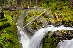 Footbridge over Sol Duc Falls in Olympic National Park, Washington