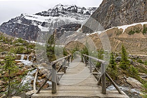 Footbridge Over a Stream in the Canadian Rocky Mountains