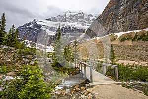 Footbridge over a Stream in the Rocky Mountains - Alberta, Canad