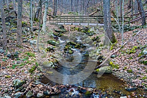 Footbridge Over a Wild Mountain Trout Stream