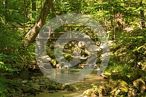 Footbridge over a Wild Mountain Trout Stream