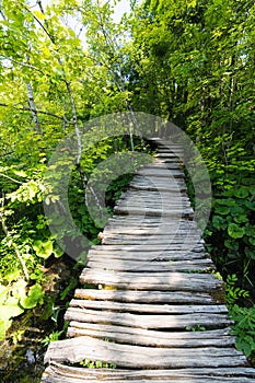 Footbridge in Plitvice Lakes National Park in Summer