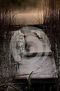 Footbridge on the pond