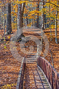 Footbridge and Steps