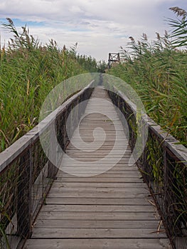 footbridge thorough and bird watch post