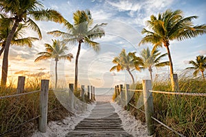 Footbridge to the beach