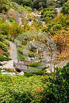 Footbridge trees in a Japanese garden