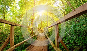 Footbridge in wilderness in natural forest in Ontika, Estonia.