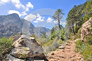 Footh path in mountain in Corsica