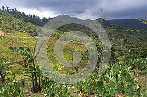 Foothills of Cordillera Central in Jayuya photo