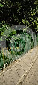 Foothpath Divider or barricades. Green