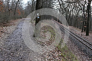 Foothpath and railway in the forest in fall