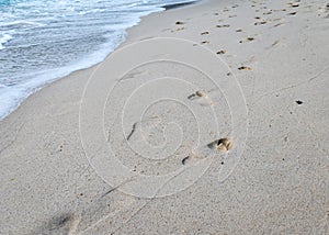 Footmark on the Sand on Beach.