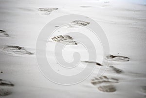 Footmark on sand