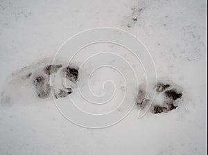 Footmarks on fresh snow in Japan