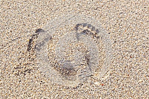 Footmarks on the sandy beach