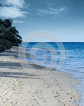 Footmarks on a sandy beach photo