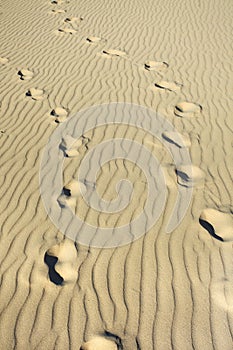 Footmarks on a wrinkled sunny beach photo