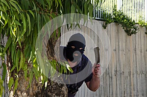 Footpad ambushing behind eucalyptus