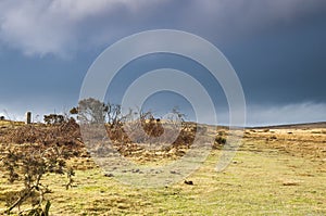 Footpath across Dartmoor