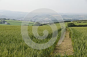 Footpath across farmland.