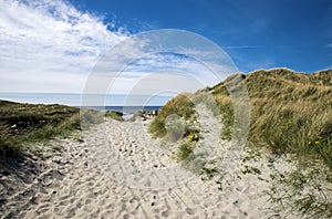 A footpath along dunes to Refsnesstranda beach in a nice sunny day near Naerbo