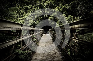 Footpath along an old wooden bridge