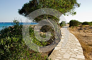 Footpath along the promenade by the sea