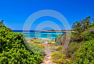 Footpath along the sea