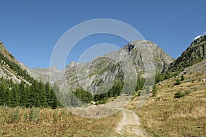 Footpath in Alps, France