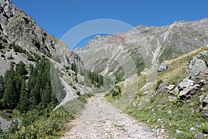 Footpath in Alps, France