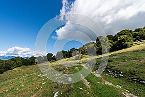 Footpath in the Alps - Monte Baldo Veneto Italy