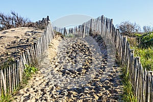 Footpath on the Atlantic Dune in Brittany