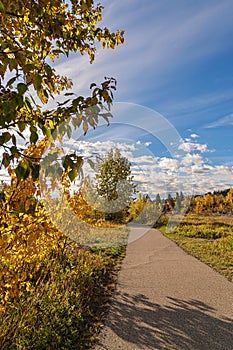 Footpath Through An Autumn Park