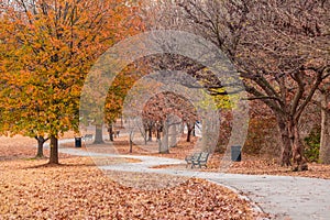 Footpath in autumn Piedmont Park, Atlanta, USA