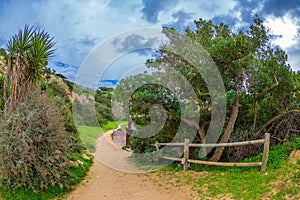 Footpath among beautiful green trees and grass leading to the famous beach in Alvor, Algarve, Portugal