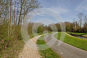 Footpath and bicycle path in a park