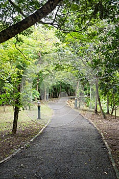 Footpath and Bike Path in the park