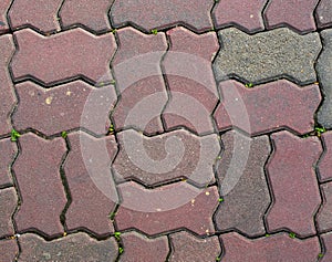 Footpath brick texture